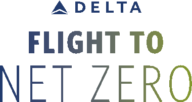 Delta Flight to Net Zero