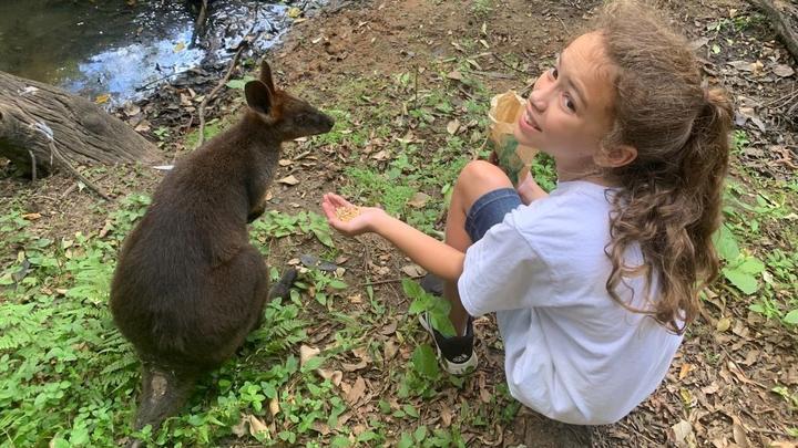 The daughter of a Delta flight attendant feeds a kangaroo at a zoo in Australia