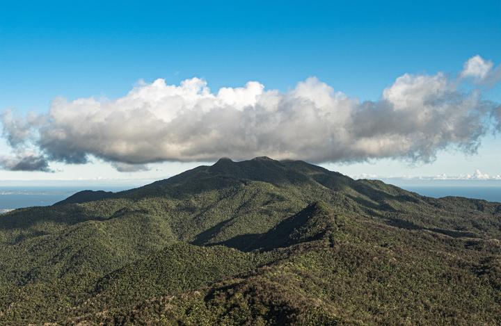 A scenic view of San Juan's El Yunque National Forest, the only tropical rainforest in the U.S.