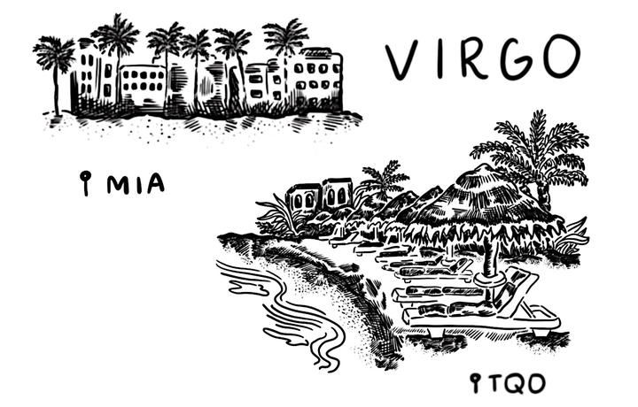 Virgo astrological sign