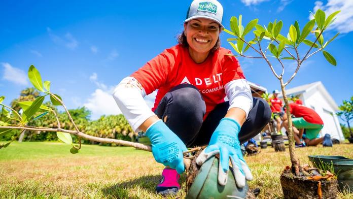 Delta people help plant trees in Palm Beach.