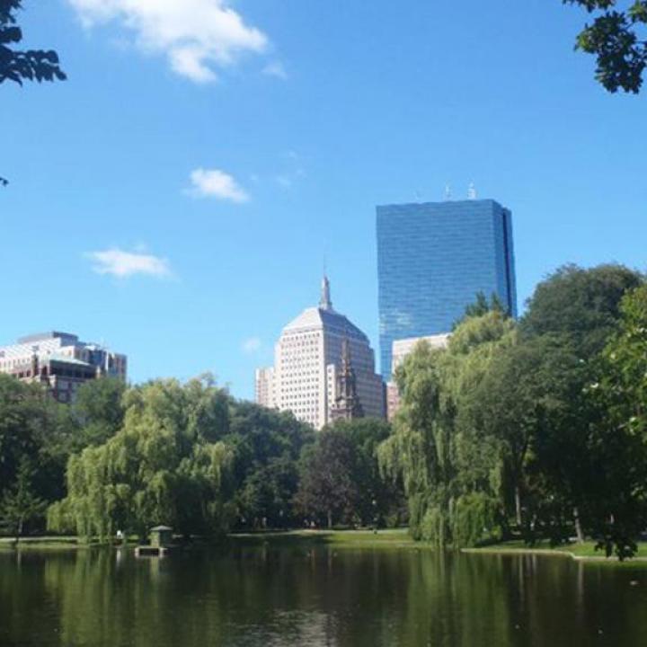 The Boston cityscape.