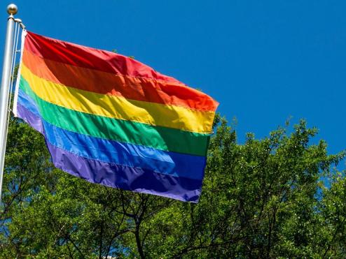 Pride Rainbow Flag