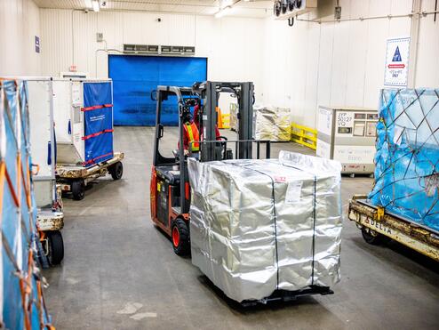 Delta ships international vaccines