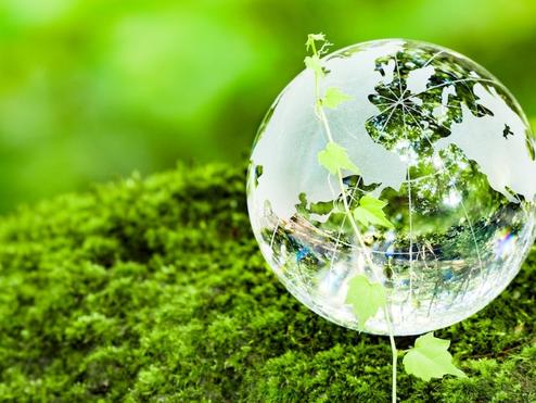 A glass globe in a green field.