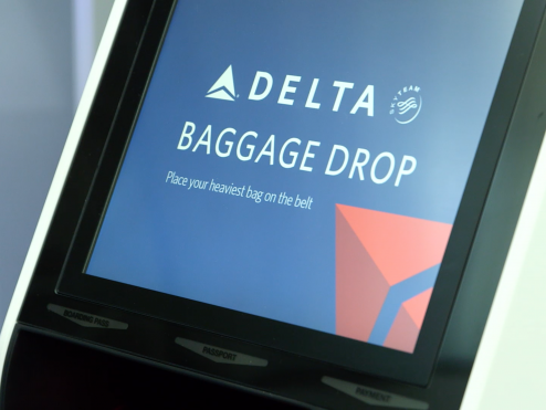 delta media baggage