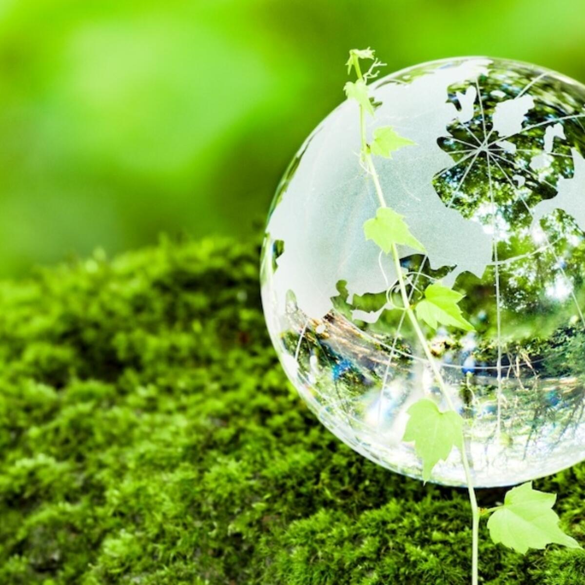 A glass globe in a green field.