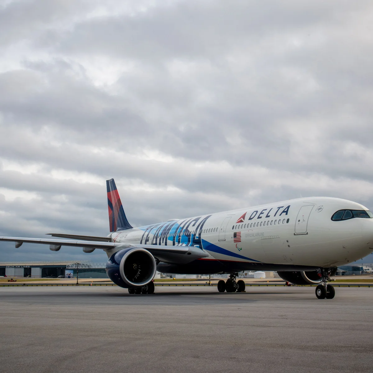 Delta Air Lines A330-900 Team USA Livery