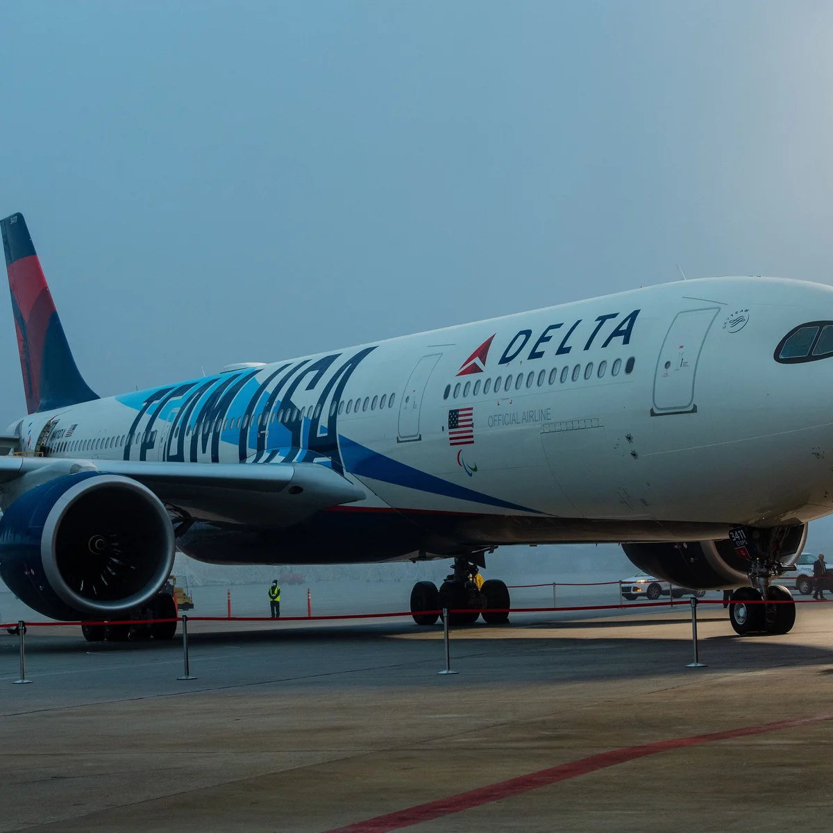 Delta's Team USA Livery