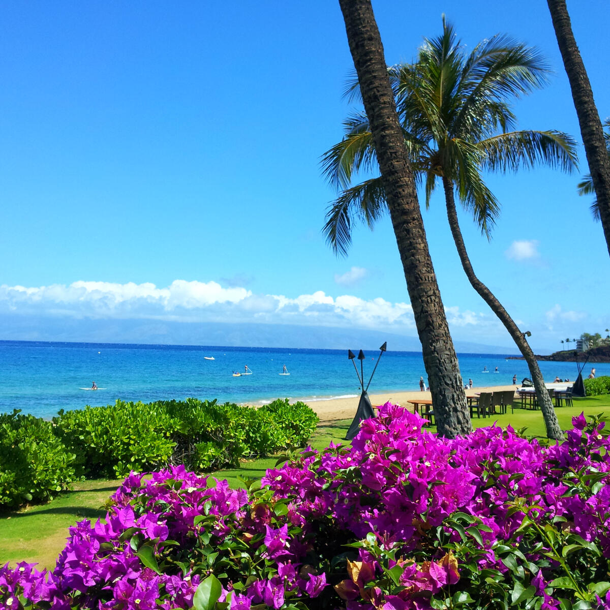 Beaches of Hawaii