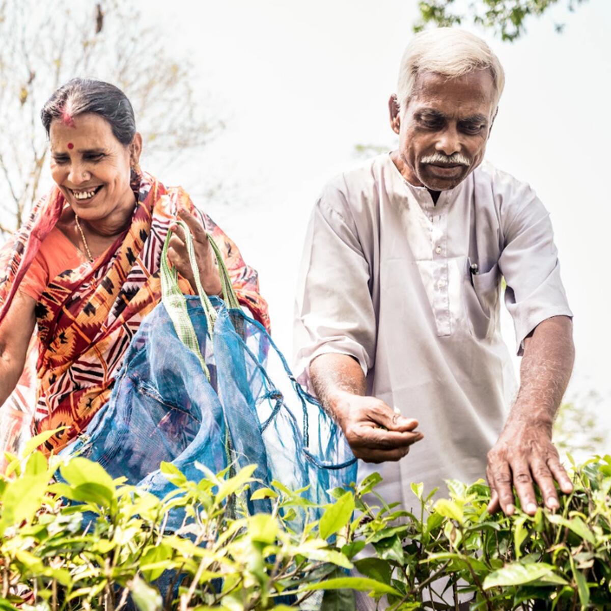 The Suklabaidya family, tea farmers from Assam, India 