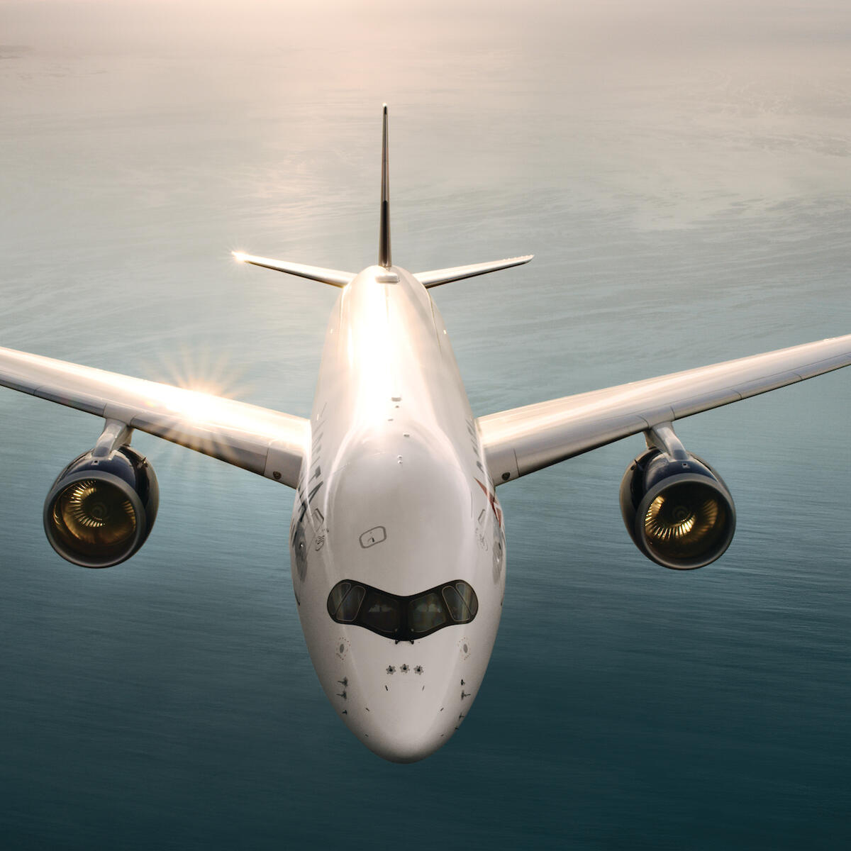 Airbus A350 from above