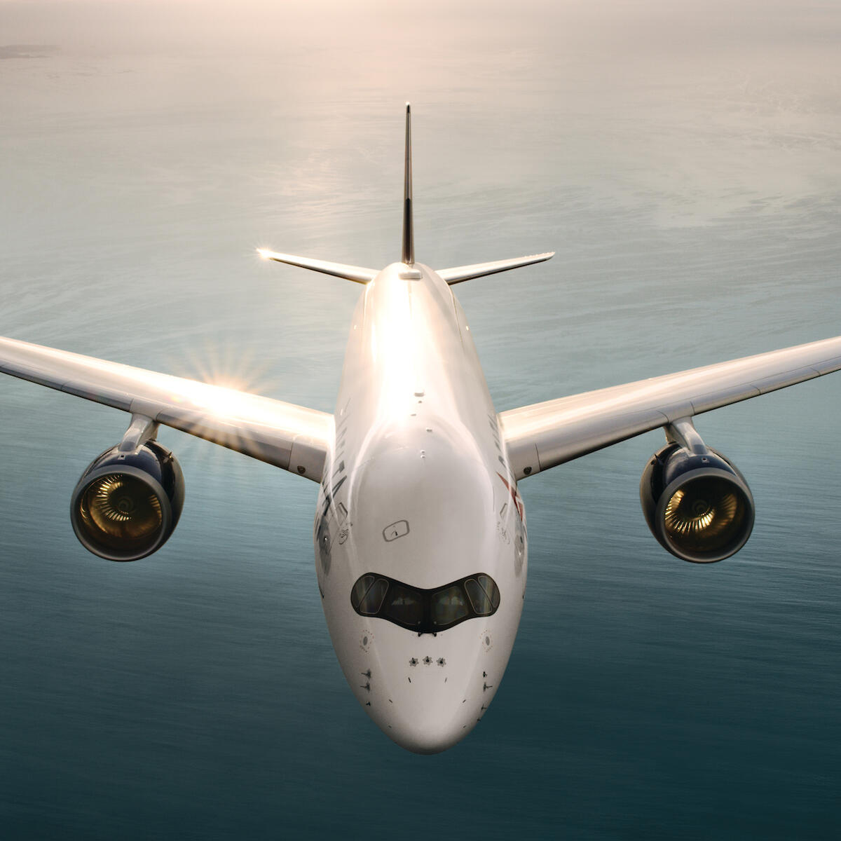 Airbus A350 from above