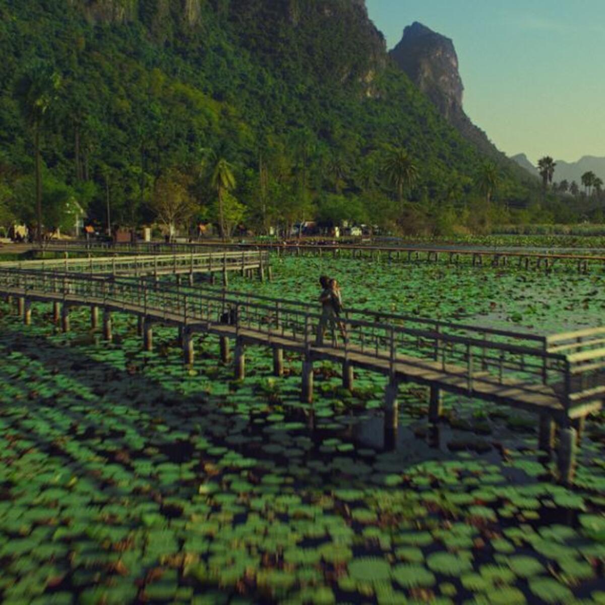 A colorfully green lotus pond with a walkway featured in Delta's new "Kaleidoscope" brand spot