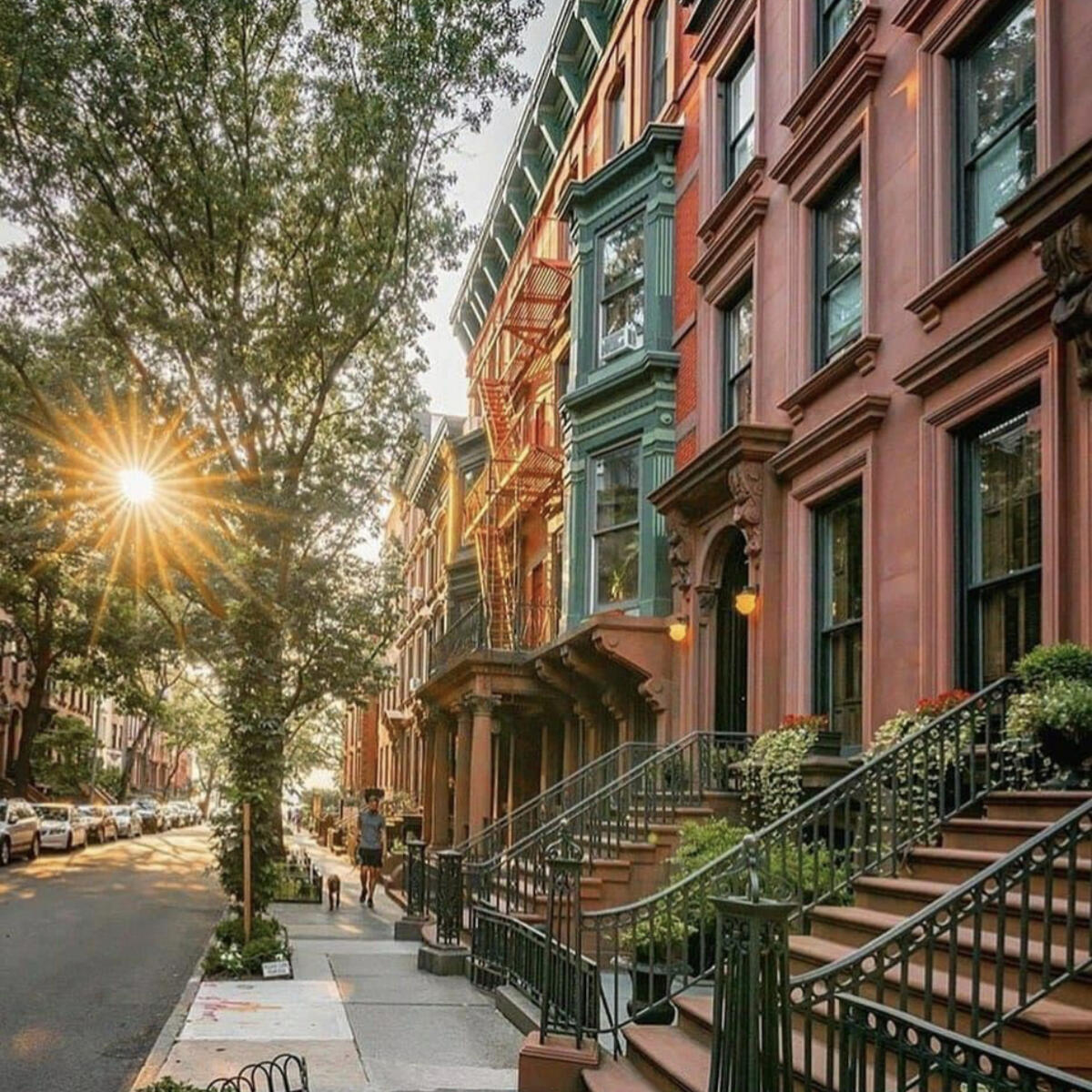 NYC Neighborhood
