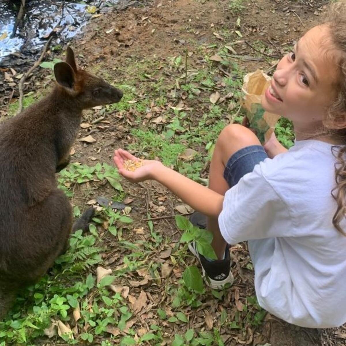 The daughter of a Delta flight attendant feeds a kangaroo at a zoo in Australia