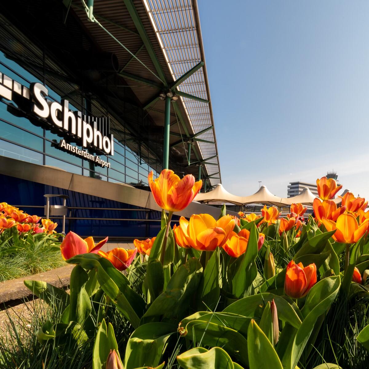 Amsterdam Airport Schiphol