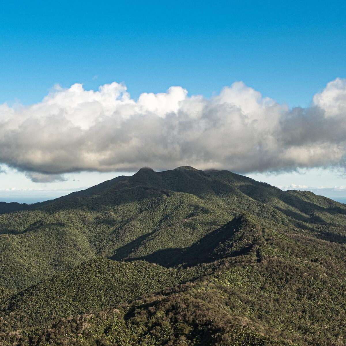 A scenic view of San Juan's El Yunque National Forest, the only tropical rainforest in the U.S.