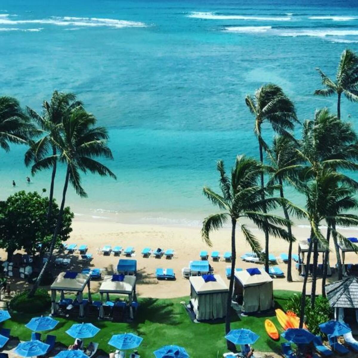 An overhead shot of a beach in Honolulu, Hawaii with umbrellas and palm trees