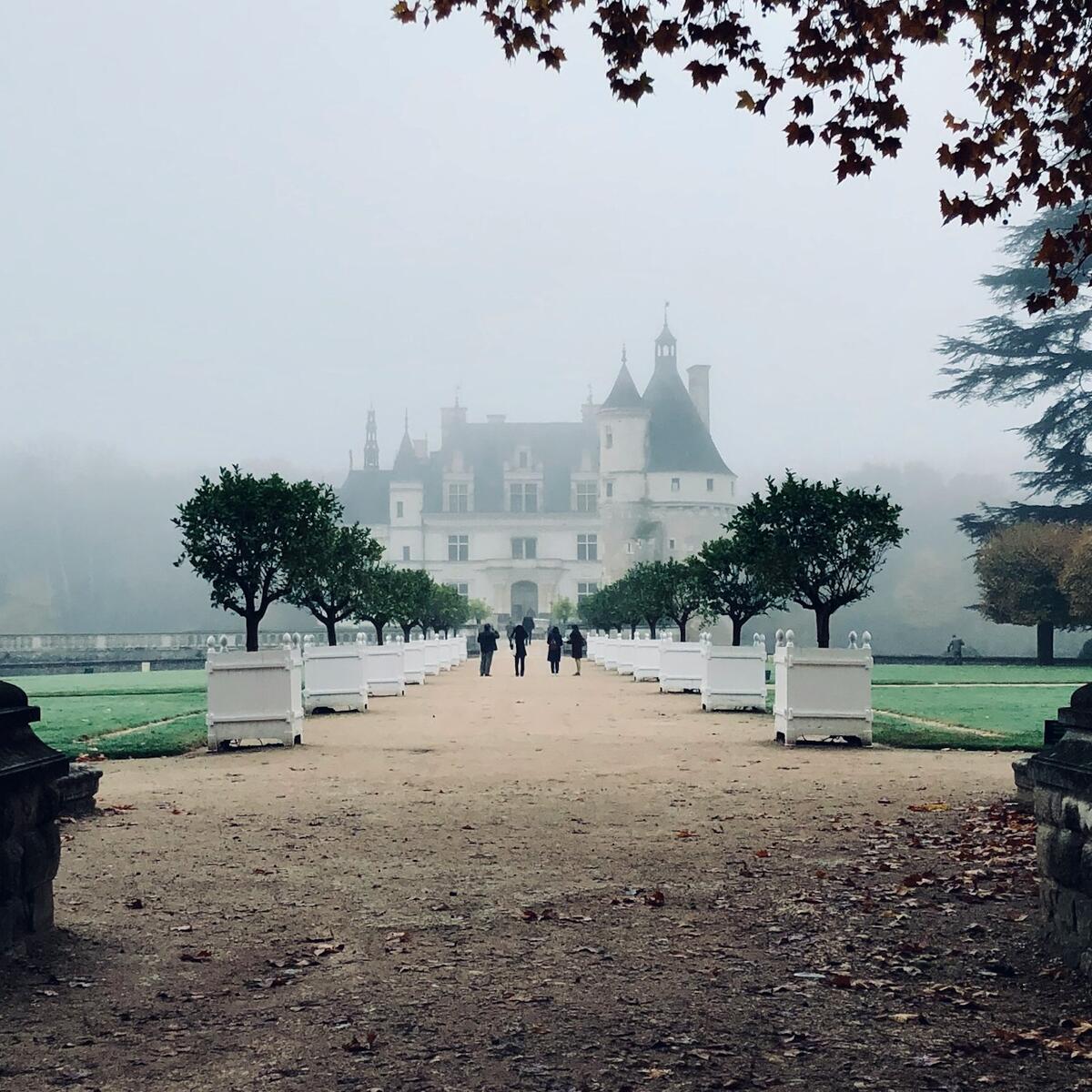 A walkway lined with potted trees leading to one of the many chateaus in Loire Valley, France