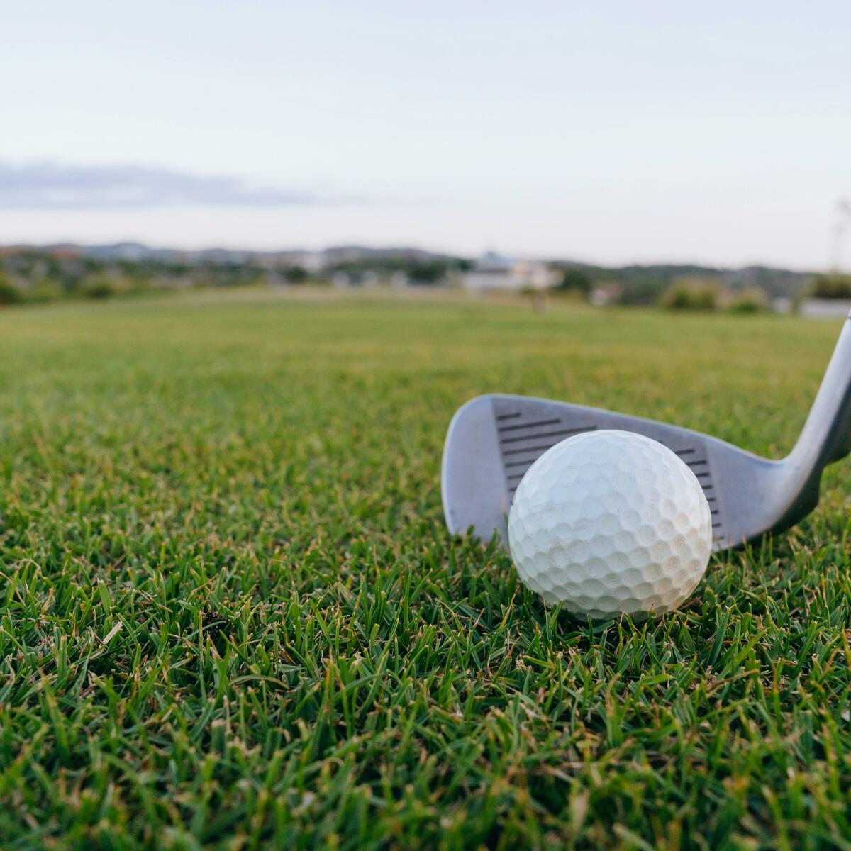 Golf club and ball on grass