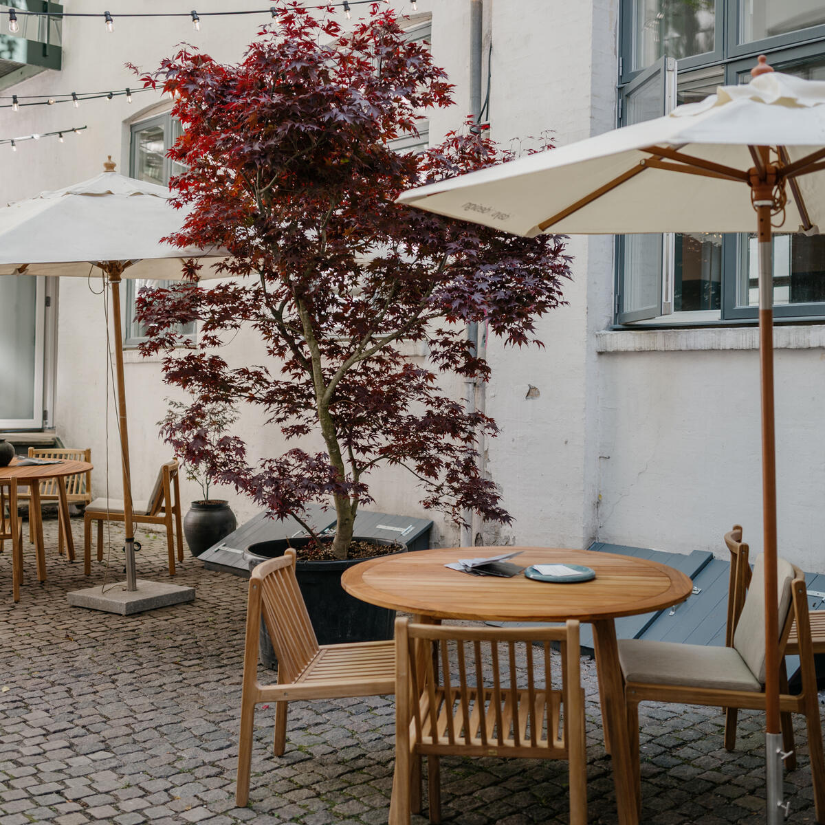 Outdoor courtyard with wooden tables and chairs under umbrellas, string lights overhead, and a red-leaf tree beside a sign for “3daysofdesign” near a building wall.