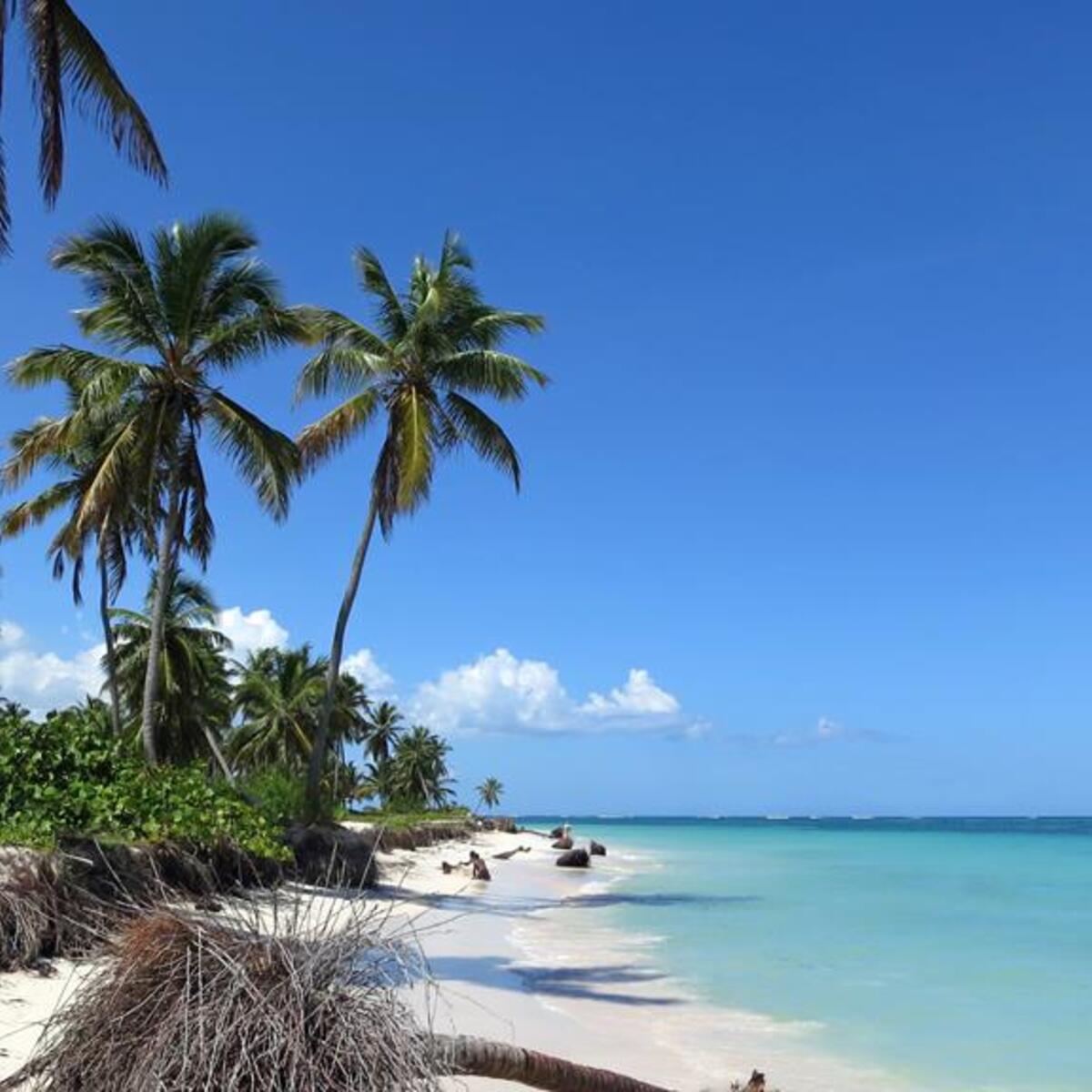 Scenic view of a shoreline in Punta Cana in the Dominican Republic