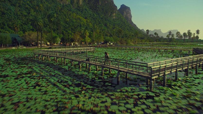 A colorfully green lotus pond with a walkway featured in Delta's new "Kaleidoscope" brand spot