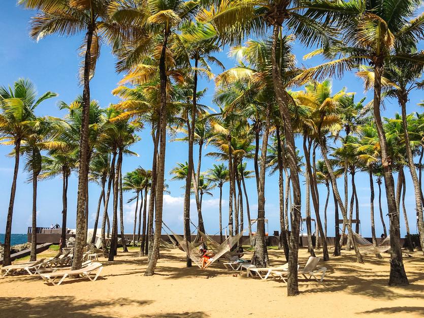 A beach in San Juan with palm trees and hammocks