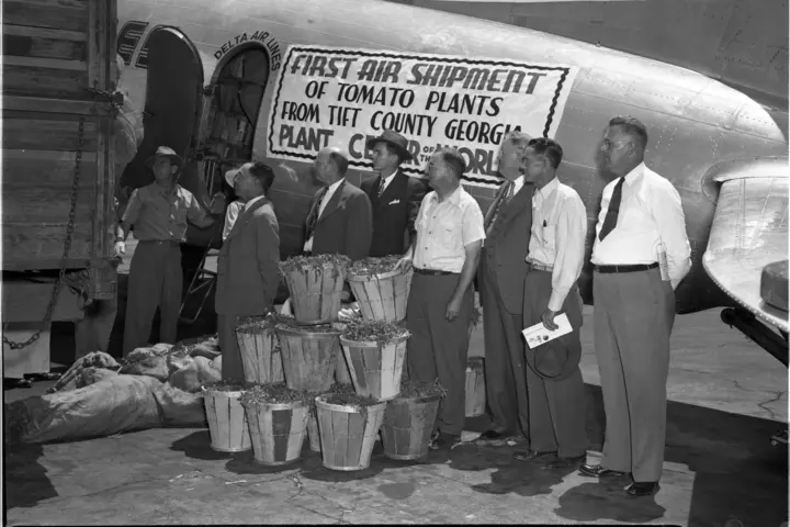 Delta Cargo tomato shipments.