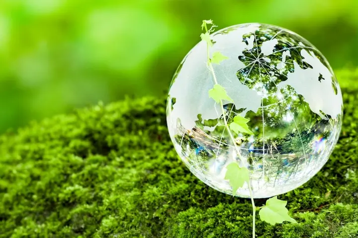 A glass globe in a green field.