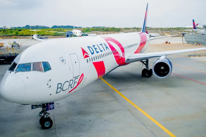 BCRF Pink Plane