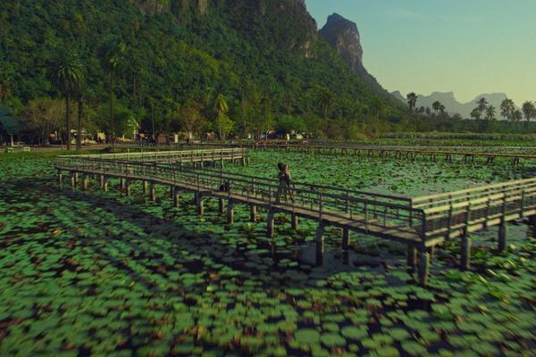 A colorfully green lotus pond with a walkway featured in Delta's new "Kaleidoscope" brand spot