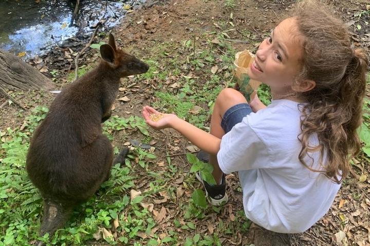 The daughter of a Delta flight attendant feeds a kangaroo at a zoo in Australia