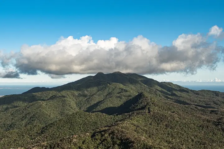 A scenic view of San Juan's El Yunque National Forest, the only tropical rainforest in the U.S.