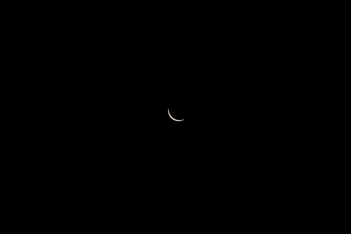 Customers on board DL 1010 from Dallas Fort Worth International Airport (DTW) to Detroit Wayne County Metropolitan Airport (DFW) view the solar eclipse.
