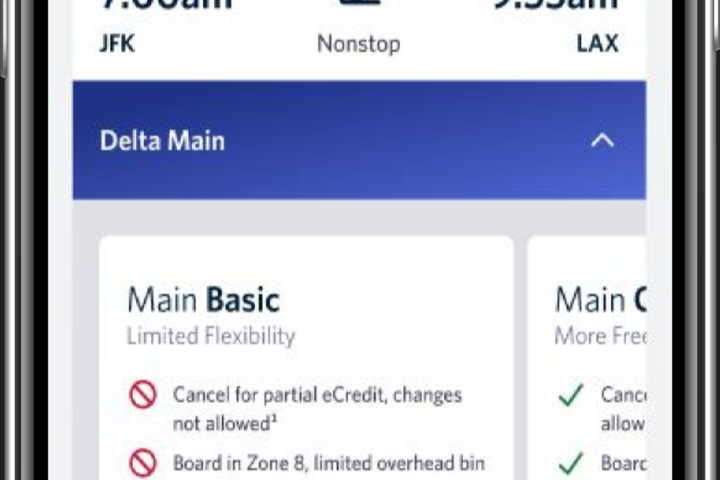 Example screenshot of Delta app showing Basic level of Main service