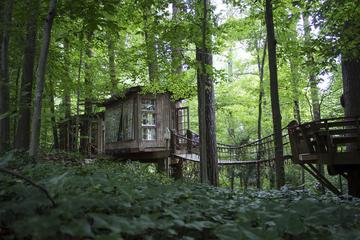 Airbnb_Treehouse