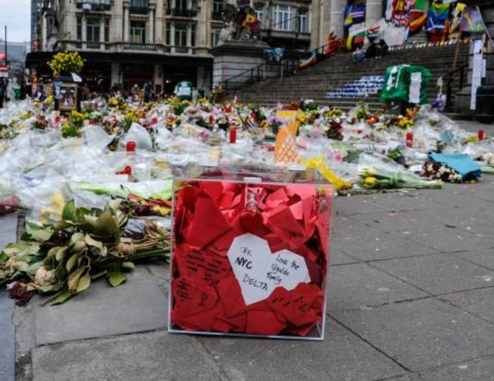 delta third checked bolsa fee