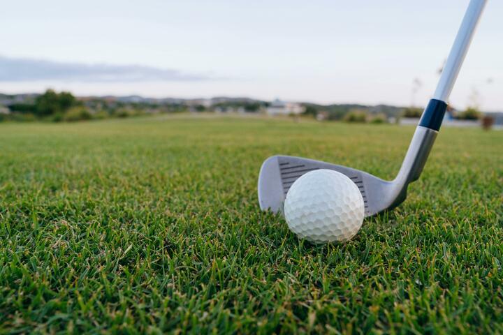 Golf club and ball on grass