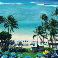 An overhead shot of a beach in Honolulu, Hawaii with umbrellas and palm trees