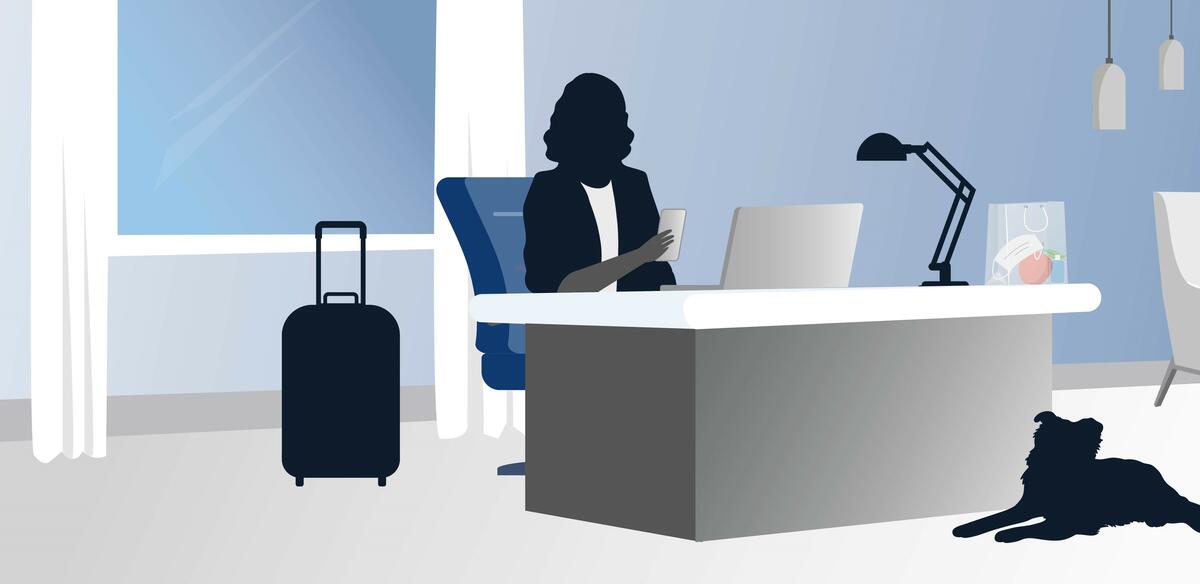 Pre-trip travel infographic