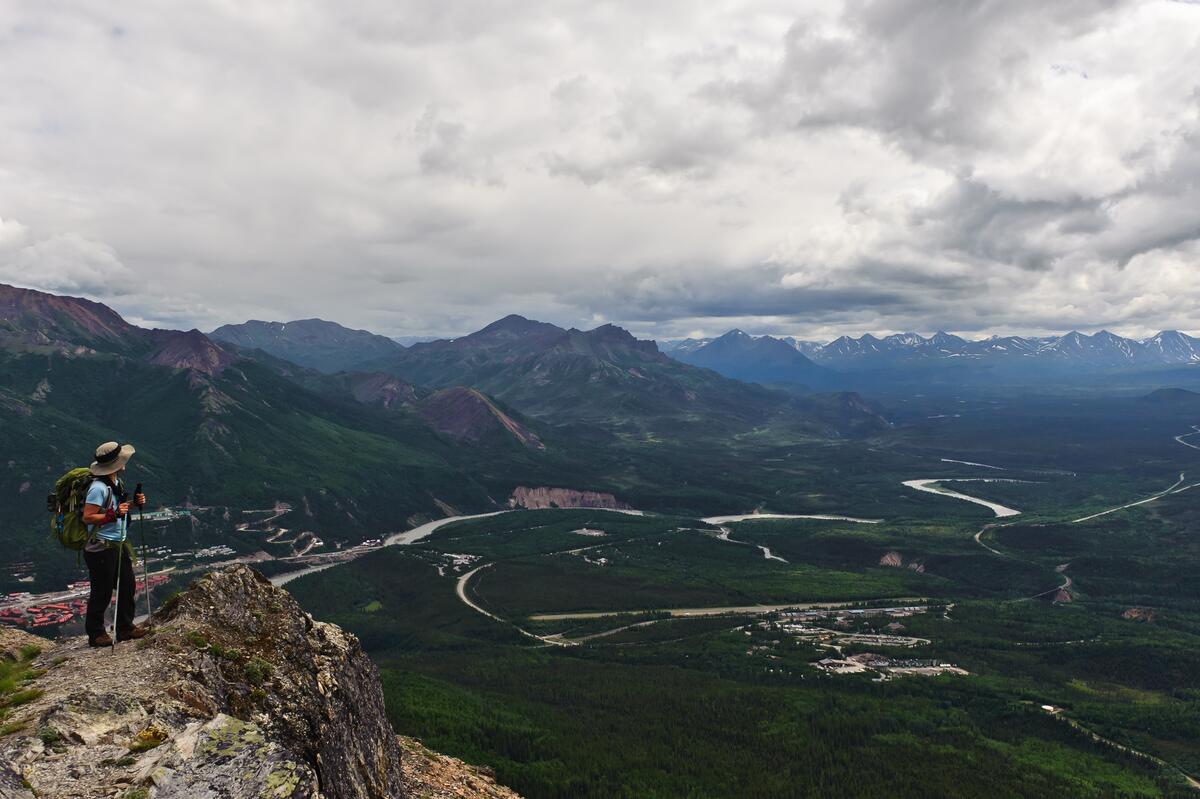 Mount Healy Overlook Point - Denali National Park, Alaska