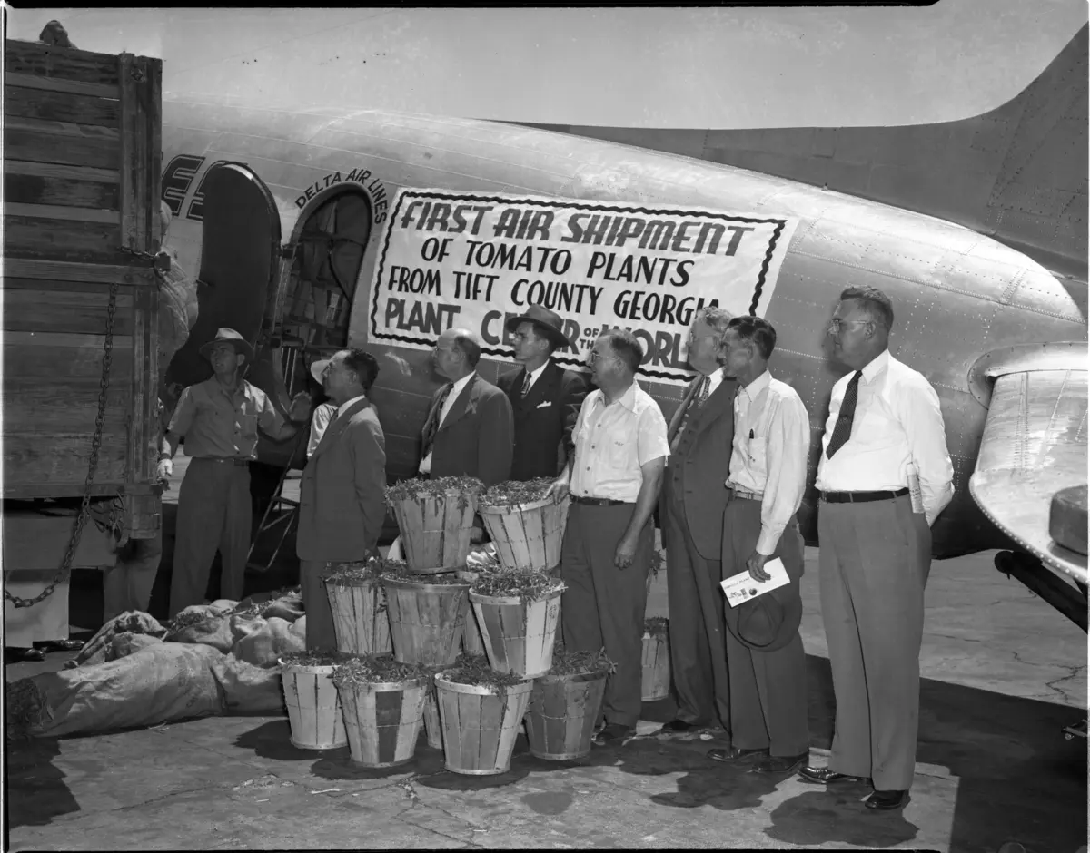 Delta Cargo tomato shipments.
