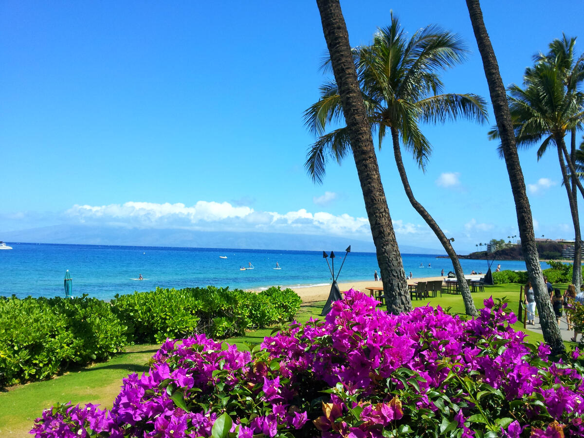 Beaches of Hawaii