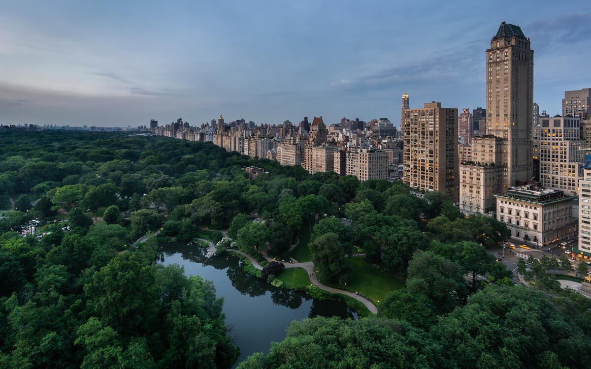 New York City's Central Park