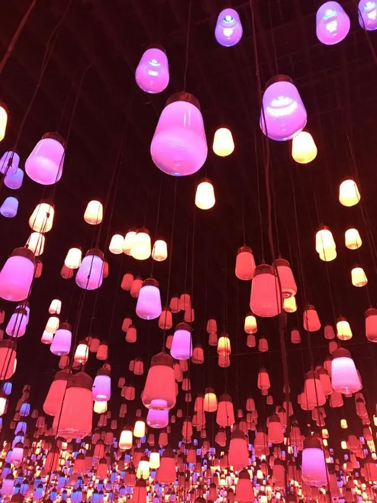 An art facility that utilizes the latest digital technology, Team Lab Planets TOKYO can be enjoyed by children and adults alike and is open until the end of 2023