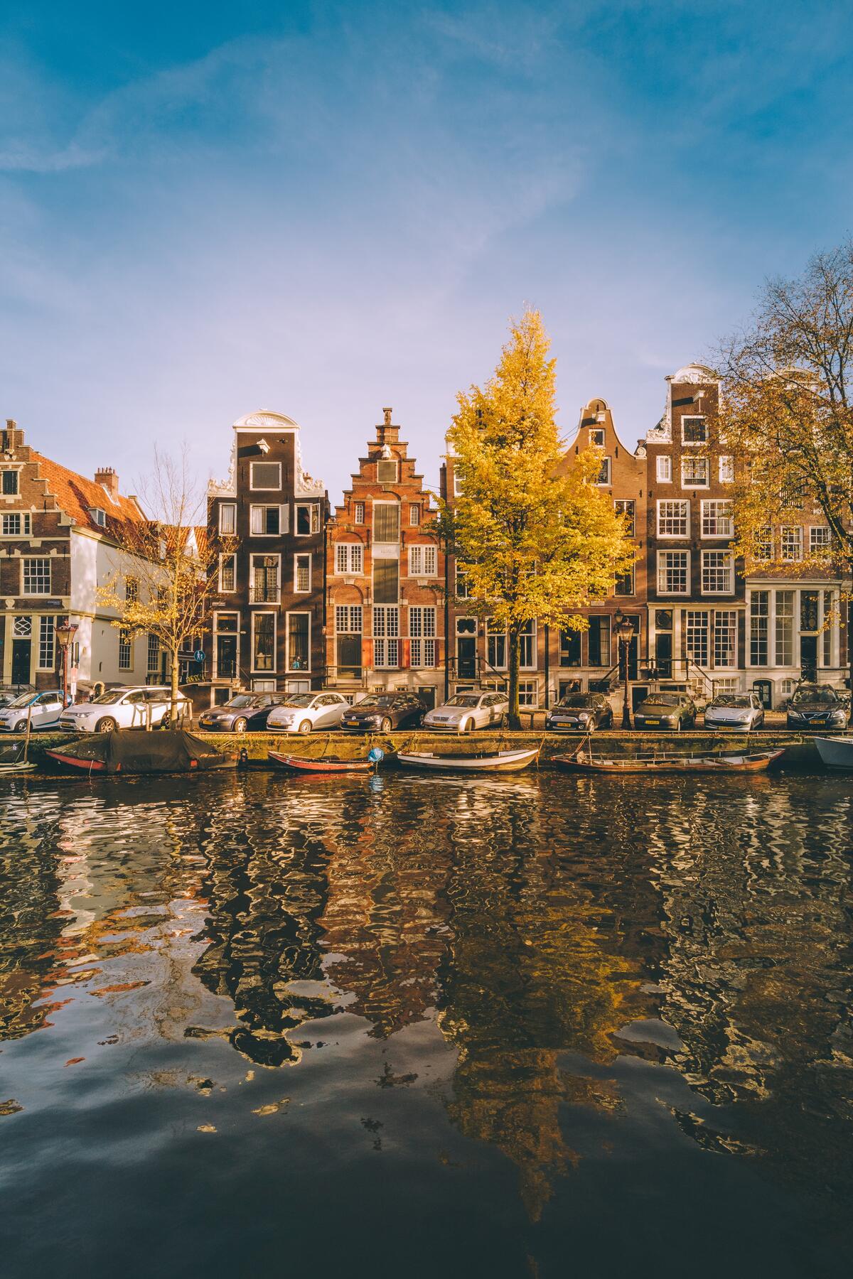 Historic canal houses and a yellow autumn tree reflected in the water along a calm canal.
