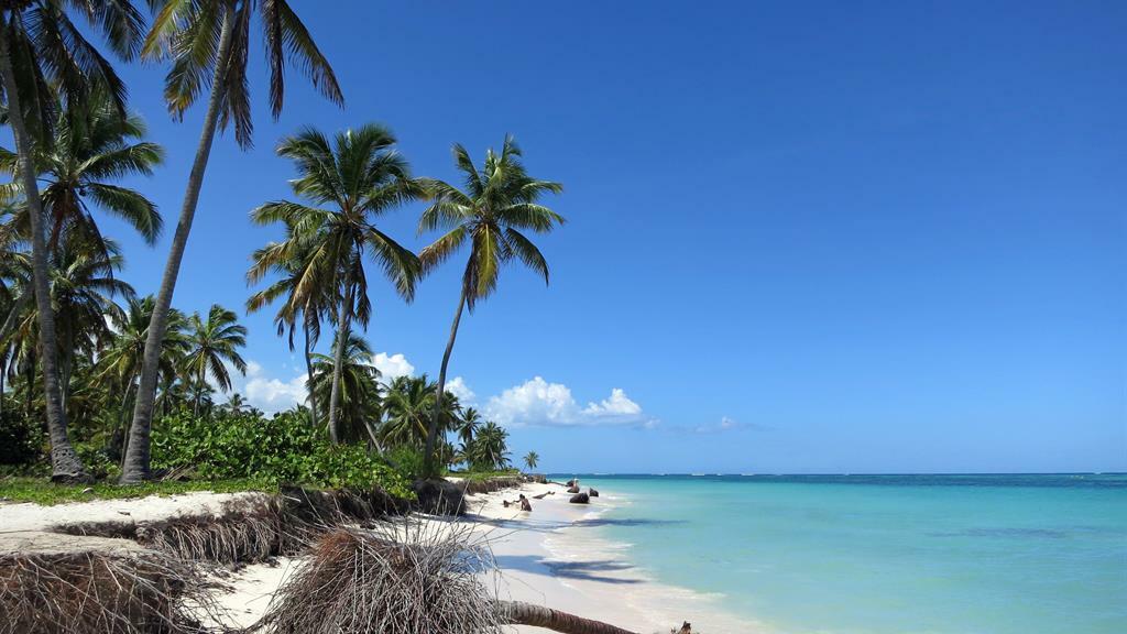 Scenic view of a shoreline in Punta Cana in the Dominican Republic