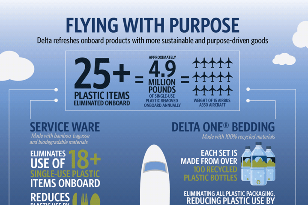 Flying With Purpose Infographic